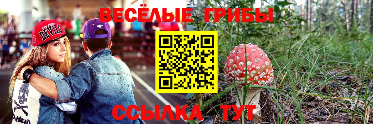 наркотики  Вход с VPN  Павловский Посад  Псилоцибиновые грибы Magic Shrooms 